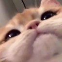 e'