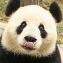 @anarsistpanda
