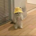 Şebnem ama Netflixi yok