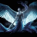 @swindler0660
