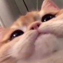 @pikachuuu00