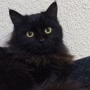Samobi