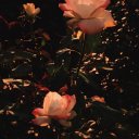 @hazal406
