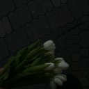 @dilaragl