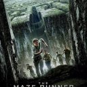Maze Runner
