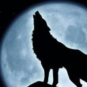 bozwolf