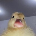 @gulcinaltnn