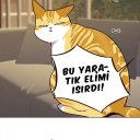 @kamui23