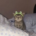 @zumrl