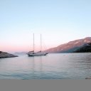 @emreergene