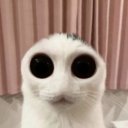 @durolimpos