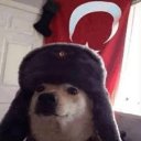 Tomris hatun