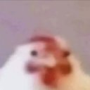 @erenwx