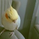 @benbuyum