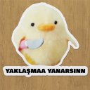 ÇılgınCivciv
